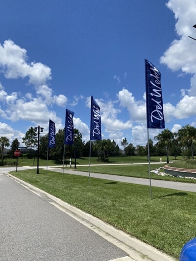 Flags Photo